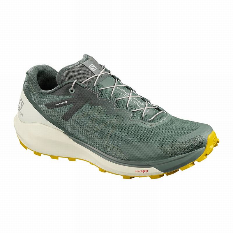 Salomon SENSE RIDE 3 Zapatillas De Running Hombre - Verde Oliva - Colombia (64812-QEAL)